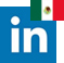 Mexico LinkedIn Icon